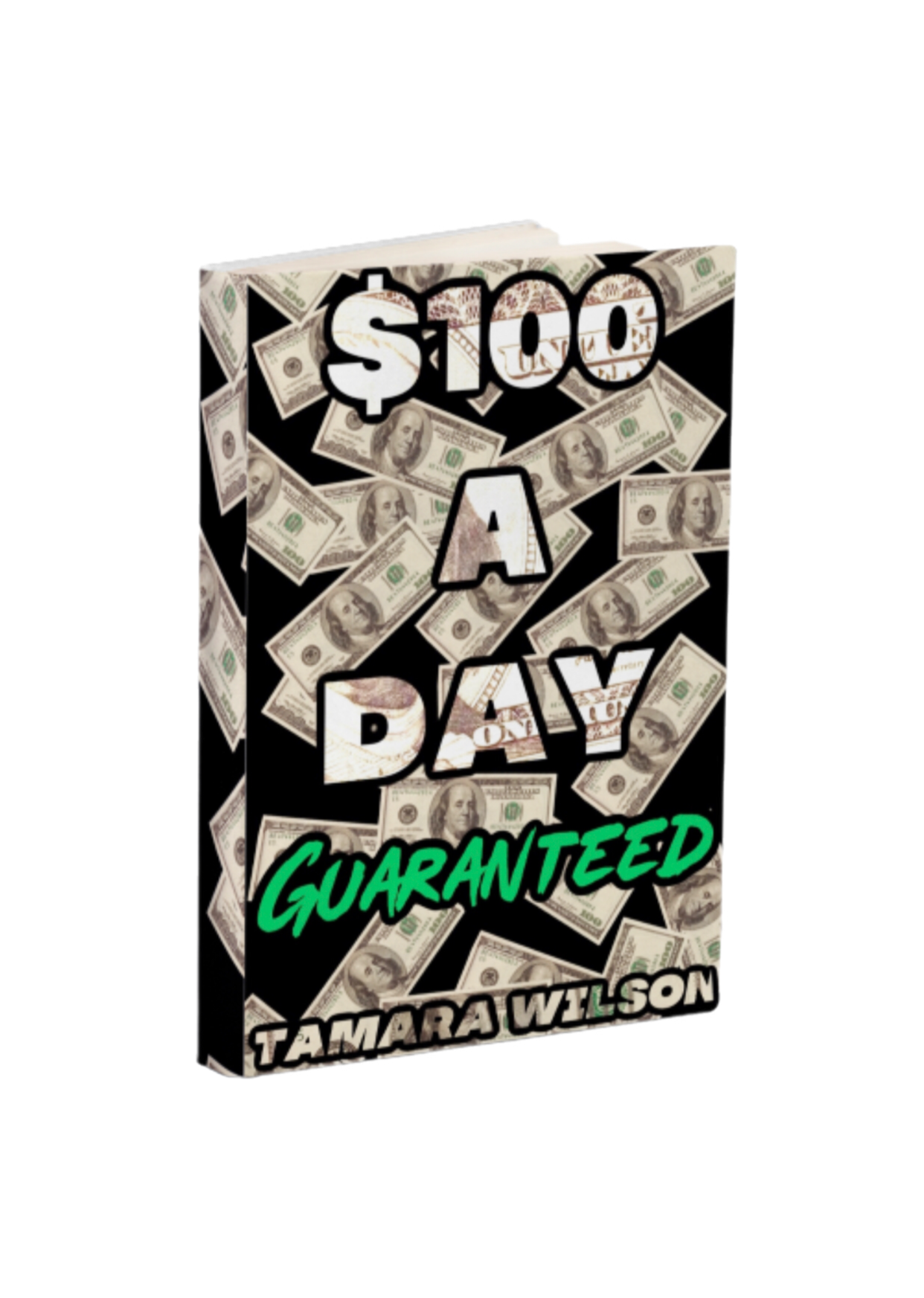 $100 A Day Guaranteed {E-Book}